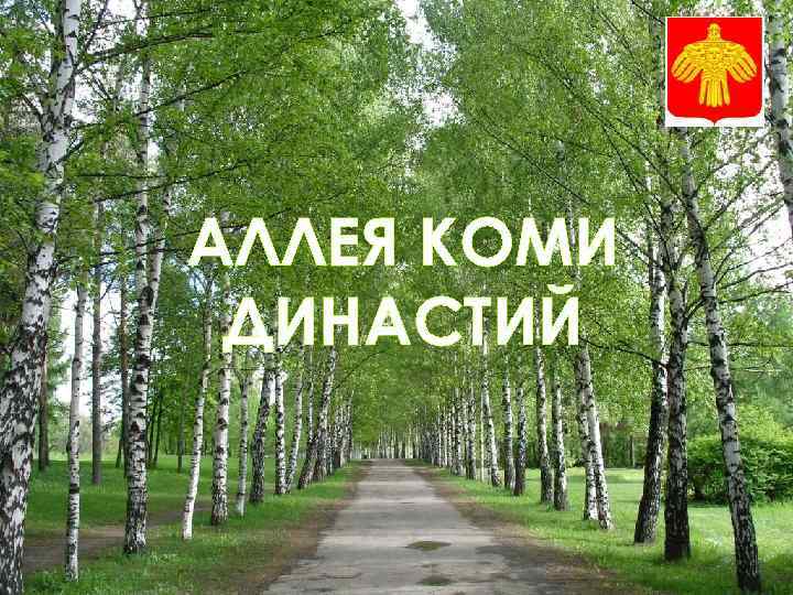АЛЛЕЯ КОМИ ДИНАСТИЙ 