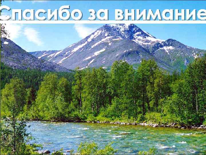 Спасибо за внимание 