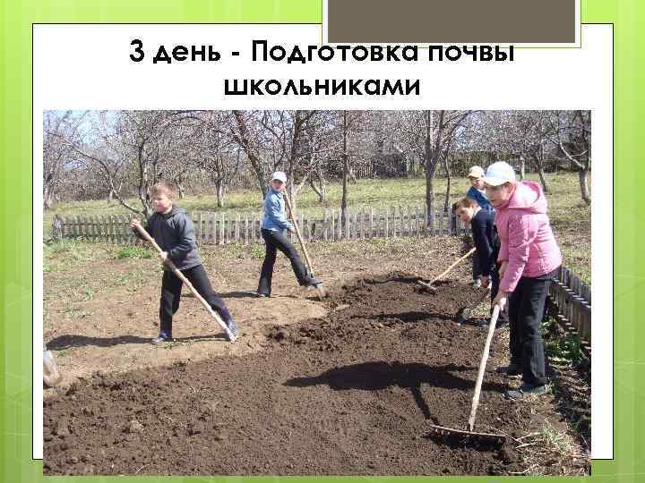 3 день - Подготовка почвы школьниками 