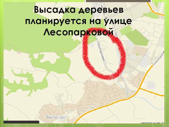 Высадка деревьев планируется на улице Лесопарковой 