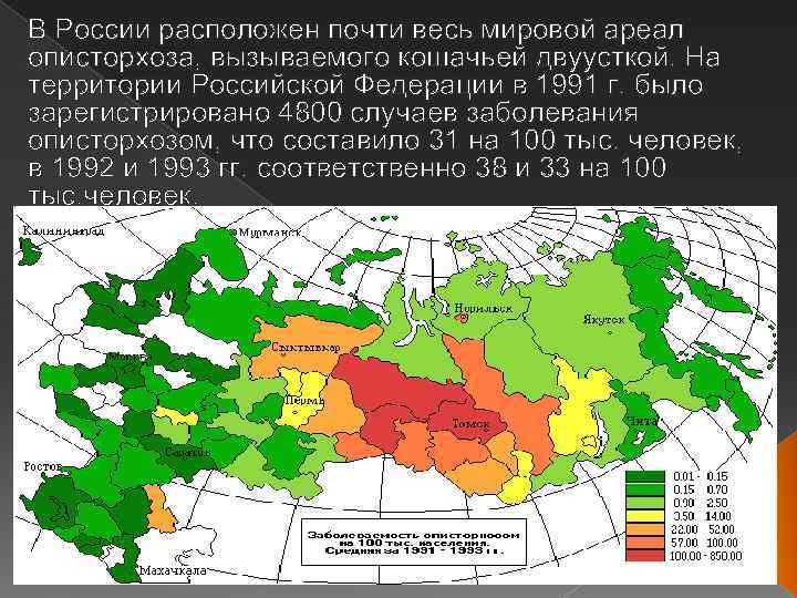 В России расположен почти весь мировой ареал описторхоза, вызываемого кошачьей двуусткой. На территории Российской