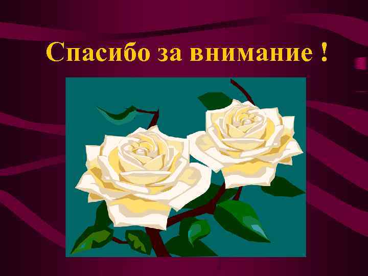 Спасибо за внимание ! 