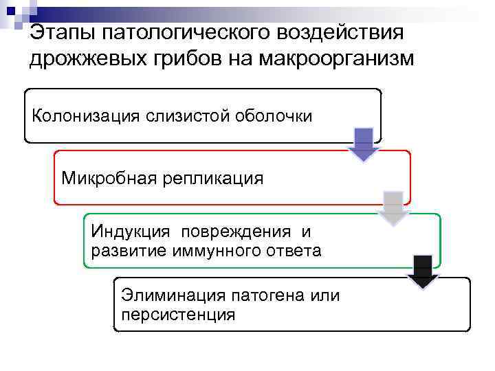 Этапы патологического воздействия дрожжевых грибов на макроорганизм Колонизация слизистой оболочки Микробная репликация Индукция повреждения