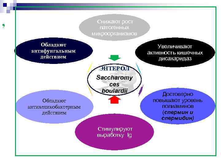 , Снижают рост патогенных микроорганизмов Обладают антифунгальным действием Увеличивают активность кишечных дисахаридаз ЭНТЕРОЛ Saccharomy