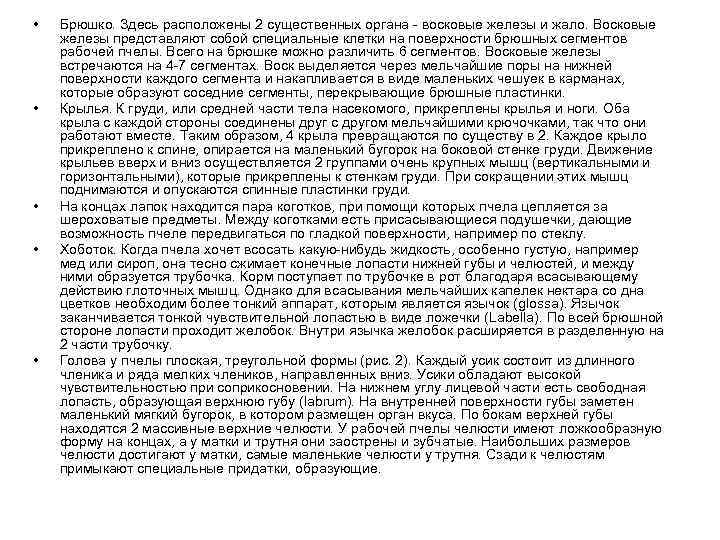  • • • Брюшко. Здесь расположены 2 существенных органа - восковые железы и