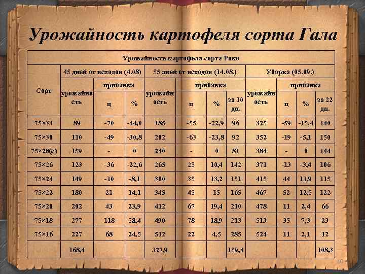 Урожайность картофеля сорта Гала Урожайность картофеля сорта Роко 45 дней от всходов (4. 08)