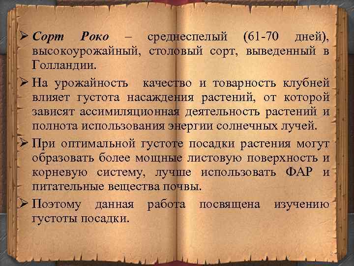 Ø Сорт Роко – среднеспелый (61 -70 дней), высокоурожайный, столовый сорт, выведенный в Голландии.