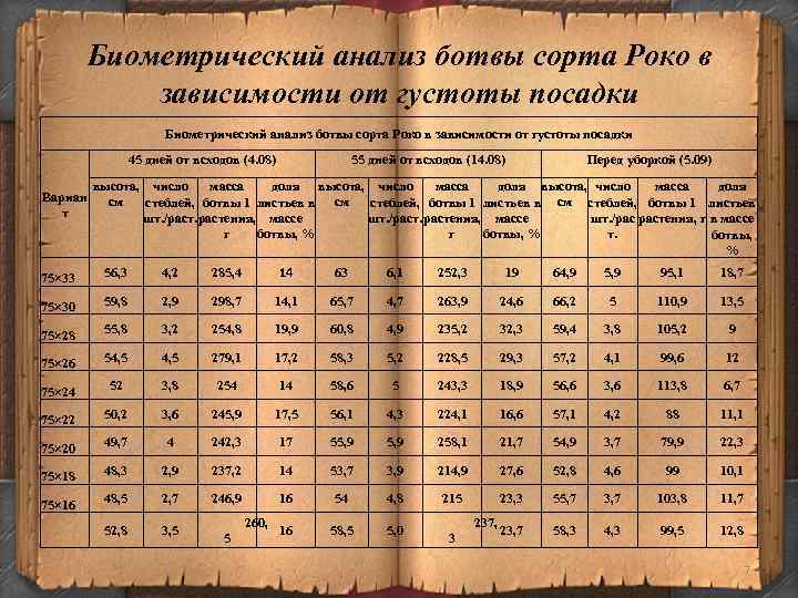 Биометрический анализ ботвы сорта Роко в зависимости от густоты посадки 45 дней от всходов