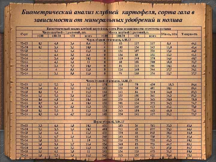 Биометрический анализ клубней картофеля, сорта гала в зависимости от минеральных удобрений и полива Сорт