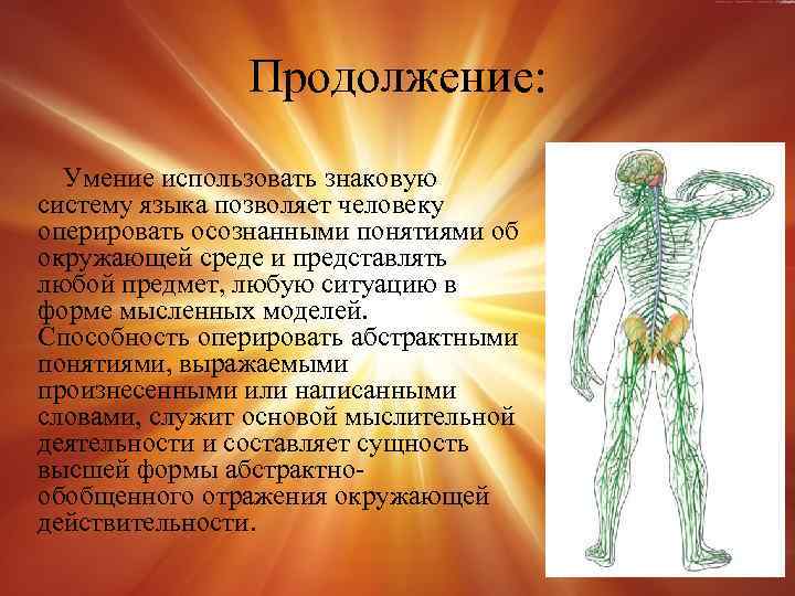 Продолжение: Умение использовать знаковую систему языка позволяет человеку оперировать осознанными понятиями об окружающей среде