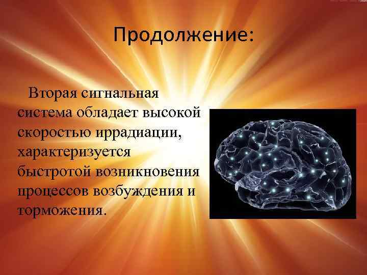 Наличие второй сигнальной системы. Понятие о сигнальных системах. Сигнальные системы фото. Сигнальные системы картинки для презентации. Сигнальные системы фото для презентации.