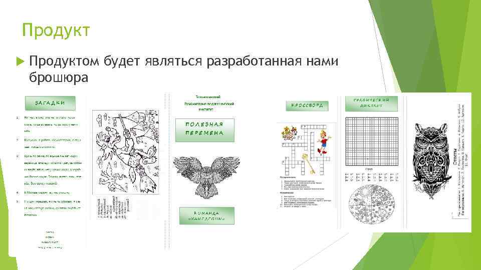 Продукт Продуктом будет являться разработанная нами брошюра 