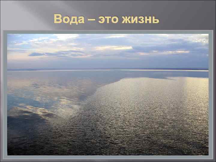 Вода – это жизнь 