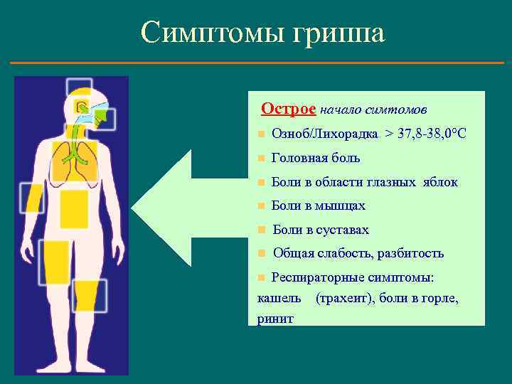 Симптомы гриппа Острое начало симтомов n Озноб/Лихорадка > 37, 8 -38, 0 С n