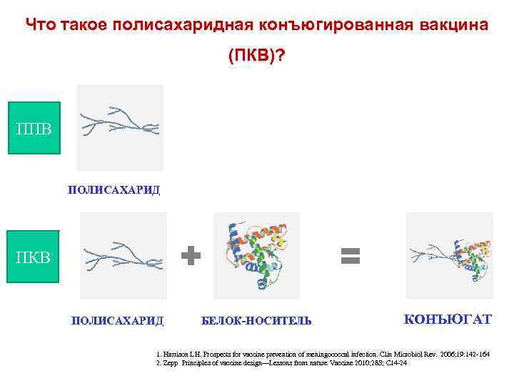 Что такое полисахаридная конъюгированная вакцина (ПКВ)? ППВ ПОЛИСАХАРИД ПКВ ПОЛИСАХАРИД 45 БЕЛОК-НОСИТЕЛЬ КОНЪЮГАТ 1.