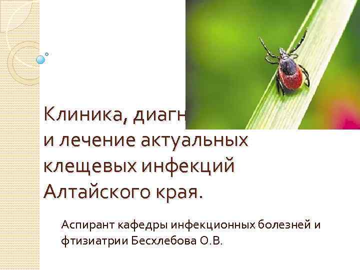 Клиника, диагностика и лечение актуальных клещевых инфекций Алтайского края. Аспирант кафедры инфекционных болезней и