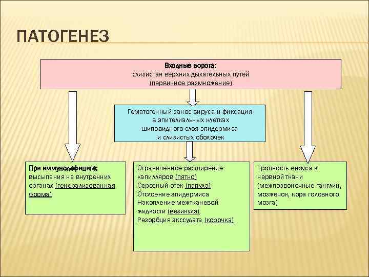 ПАТОГЕНЕЗ Входные ворота: слизистая верхних дыхательных путей (первичное размножение) Гематогенный занос вируса и фиксация