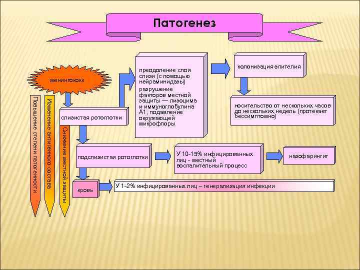 Патогенез натуральной оспы схема