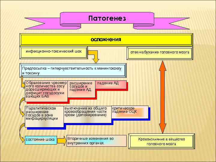 Патогенез осложнения инфекционно-токсический шок отек-набухание головного мозга Предпосылка – гиперчувствительность к менингококку и токсину