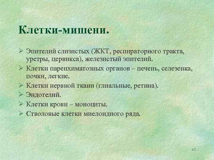 Клетки-мишени. Ø Эпителий слизистых (ЖКТ, респираторного тракта, уретры, цервикса), железистый эпителий. Ø Клетки паренхиматозных