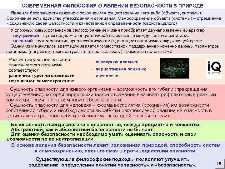 СОВРЕМЕННАЯ ФИЛОСОФИЯ О ЯВЛЕНИИ БЕЗОПАСНОСТИ В ПРИРОДЕ Явление безопасности связано с сохранением существования чего-либо