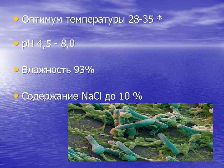  • Оптимум температуры 28 -35 * • p. H 4, 5 - 8,