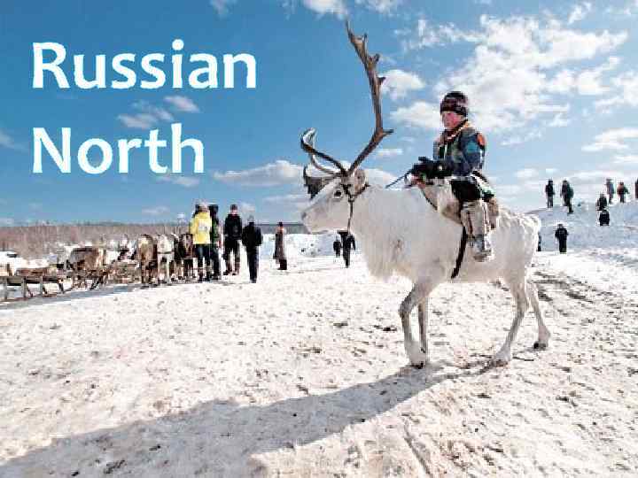 Russian North 