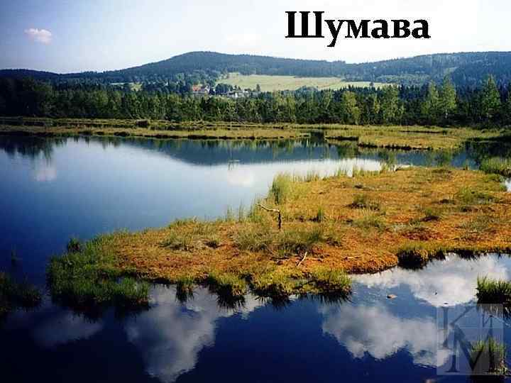 Шумава 
