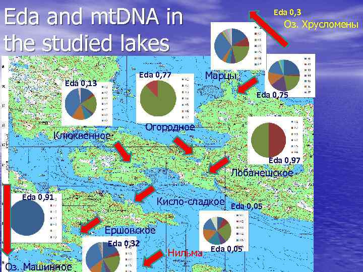 Eda and mt. DNA in the studied lakes Eda 0, 77 Eda 0, 13