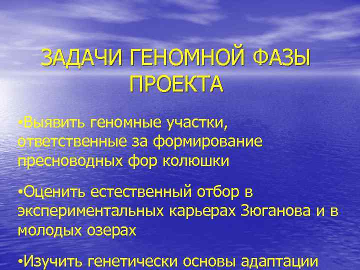 ЗАДАЧИ ГЕНОМНОЙ ФАЗЫ ПРОЕКТА • Выявить геномные участки, ответственные за формирование пресноводных фор колюшки