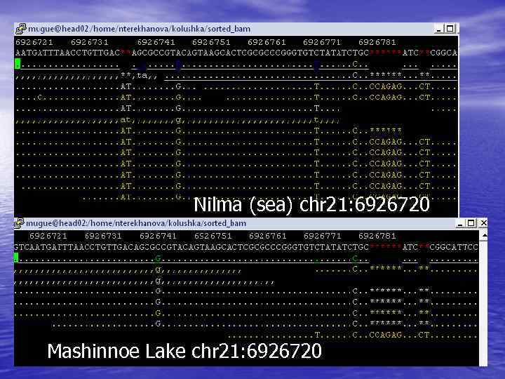Nilma (sea) chr 21: 6926720 Mashinnoe Lake chr 21: 6926720 