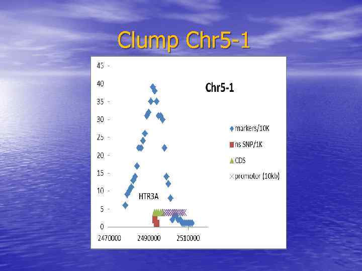  Clump Chr 5 -1 