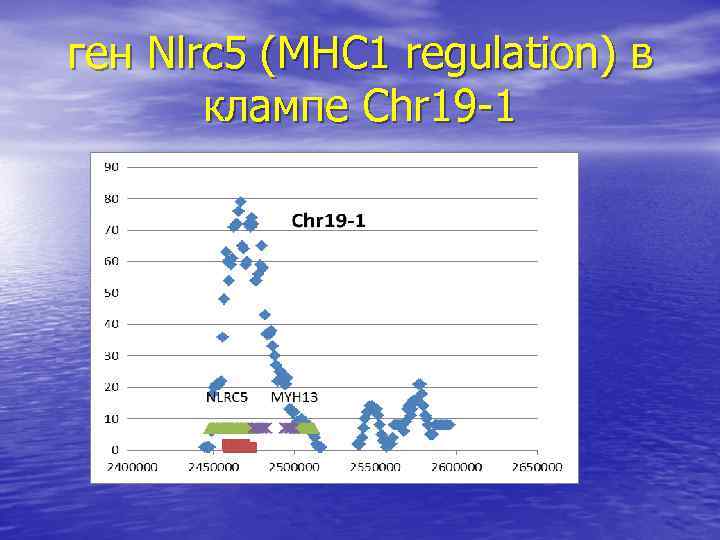 ген Nlrc 5 (MHC 1 regulation) в клампе Chr 19 -1 