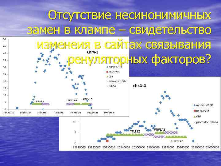 Отсутствие несинонимичных замен в клампе – свидетельство изменеия в сайтах связывания ренуляторных факторов? Many