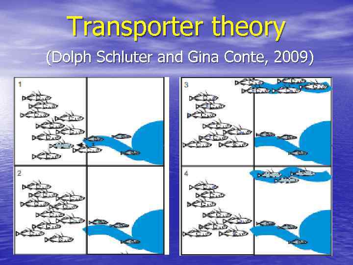 Transporter theory (Dolph Schluter and Gina Conte, 2009) 