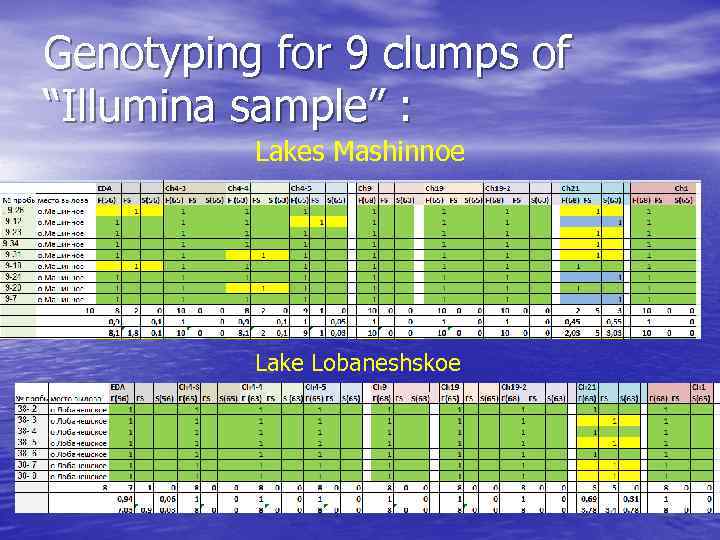 Genotyping for 9 clumps of “Illumina sample” : Lakes Mashinnoe Lake Lobaneshskoe 