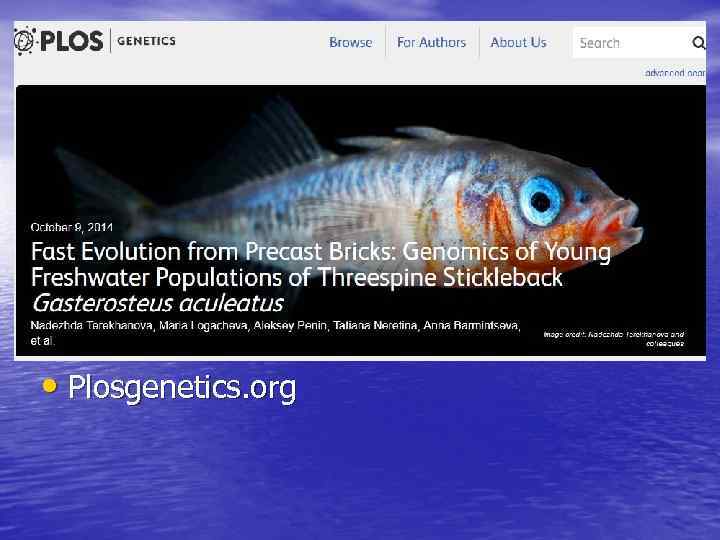  • Plosgenetics. org 