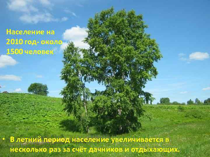 Население на 2010 год- около 1500 человек • В летний период население увеличивается в