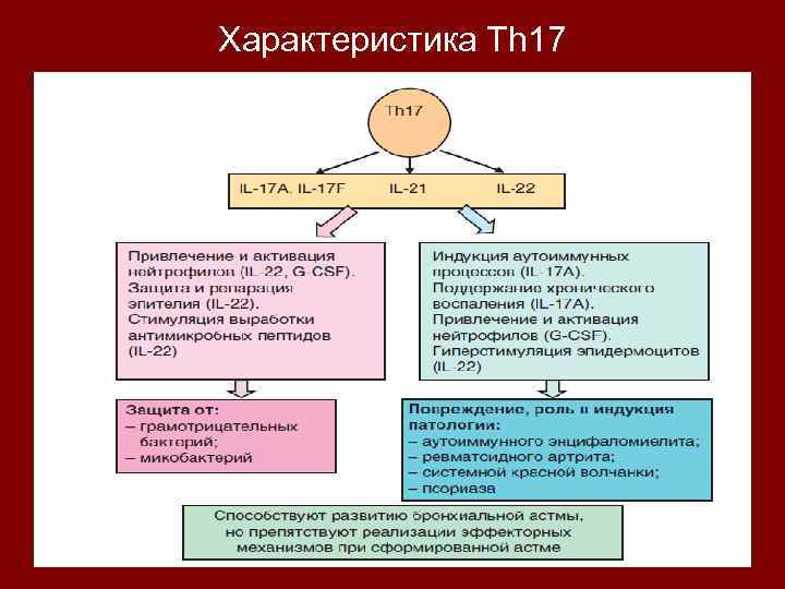 Характеристика Тh 17 