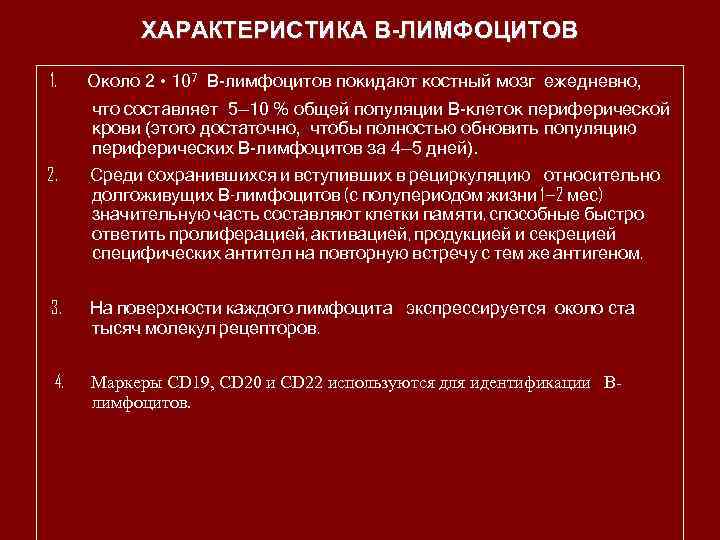 ХАРАКТЕРИСТИКА В-ЛИМФОЦИТОВ 1. Около 2 • 107 В-лимфоцитов покидают костный мозг ежедневно, что составляет