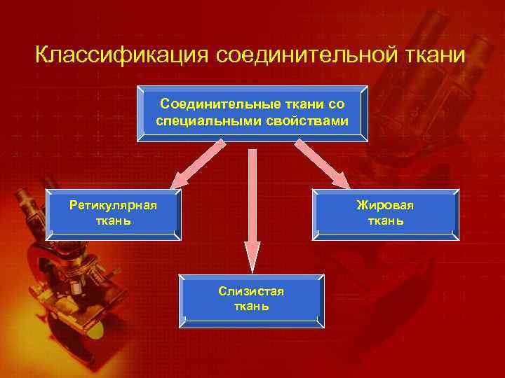 Классификация соединительной ткани Соединительные ткани со специальными свойствами Ретикулярная ткань Жировая ткань Слизистая ткань