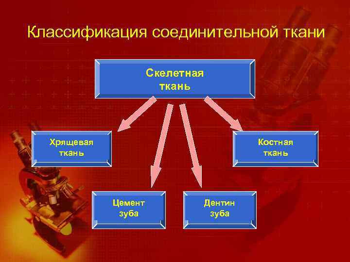 Классификация соединительной ткани Скелетная ткань Хрящевая ткань Костная ткань Цемент зуба Дентин зуба 