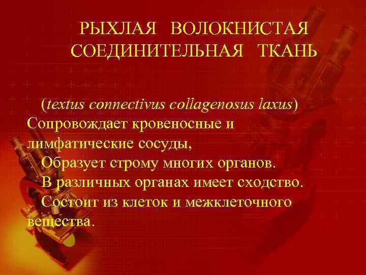 РЫХЛАЯ ВОЛОКНИСТАЯ СОЕДИНИТЕЛЬНАЯ ТКАНЬ (textus connectivus collagenosus laxus) Сопровождает кровеносные и лимфатические сосуды, Образует