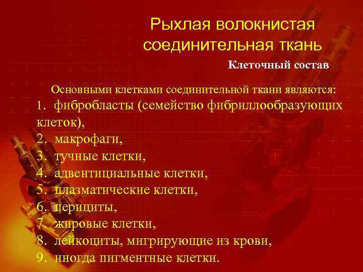 Рыхлая волокнистая соединительная ткань Клеточный состав Основными клетками соединительной ткани являются: 1. фибробласты (семейство