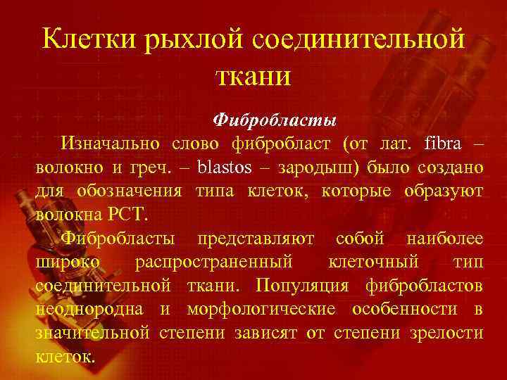 Клетки рыхлой соединительной ткани Фибробласты Изначально слово фибробласт (от лат. fibra – волокно и