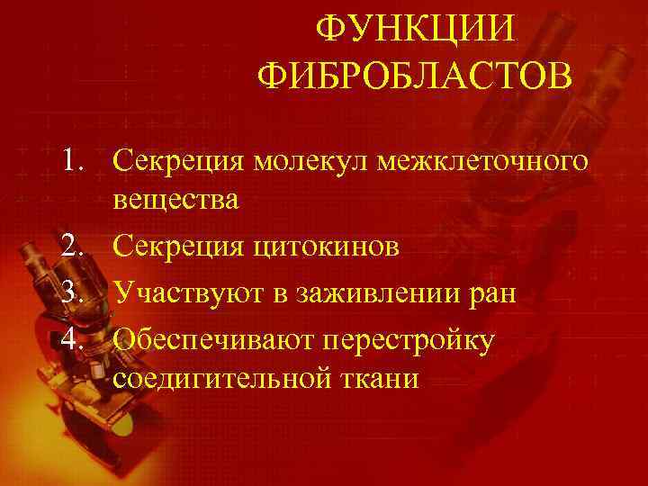 ФУНКЦИИ ФИБРОБЛАСТОВ 1. Секреция молекул межклеточного вещества 2. Секреция цитокинов 3. Участвуют в заживлении