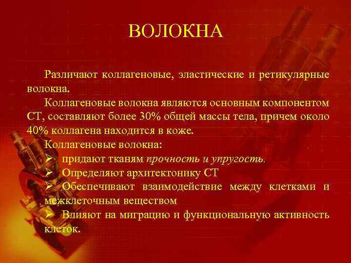 ВОЛОКНА Различают коллагеновые, эластические и ретикулярные волокна. Коллагеновые волокна являются основным компонентом СТ, составляют