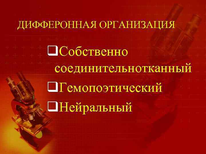 ДИФФЕРОННАЯ ОРГАНИЗАЦИЯ q. Собственно соединительнотканный q. Гемопоэтический q. Нейральный 