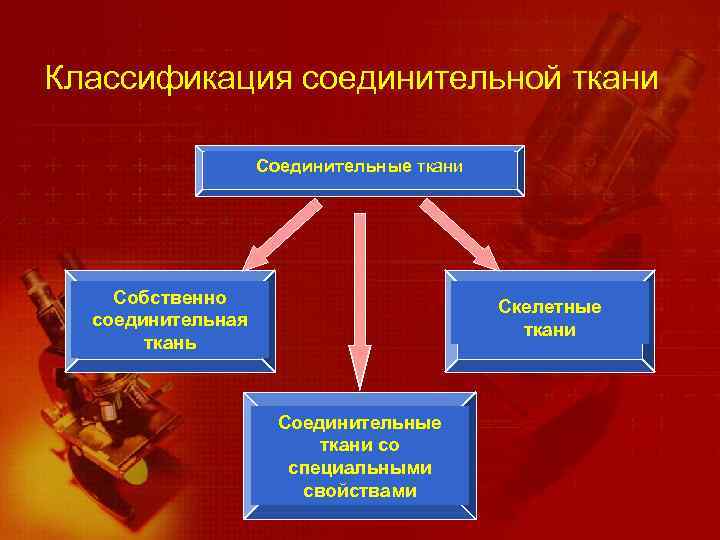 Классификация соединительной ткани Соединительные ткани Собственно соединительная ткань Скелетные ткани Соединительные ткани со специальными