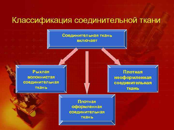 Классификация соединительной ткани Соединительная ткань включает Плотная неоформленная соединительная ткань Рыхлая волокнистая соединительная ткань